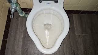 1927 Standard Instanto Side Spud toilet