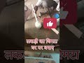 लकड़ी का चिमटा