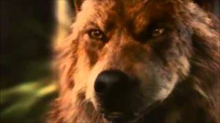 Twilight - She Wolf