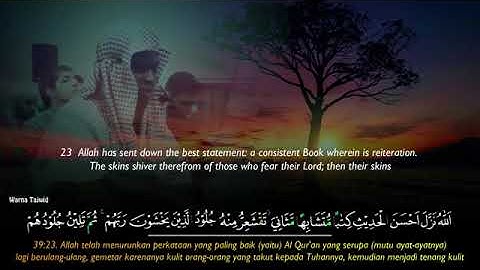 Surah Az Zumar Imam Feysal II سورة الزمر إمام فيصل