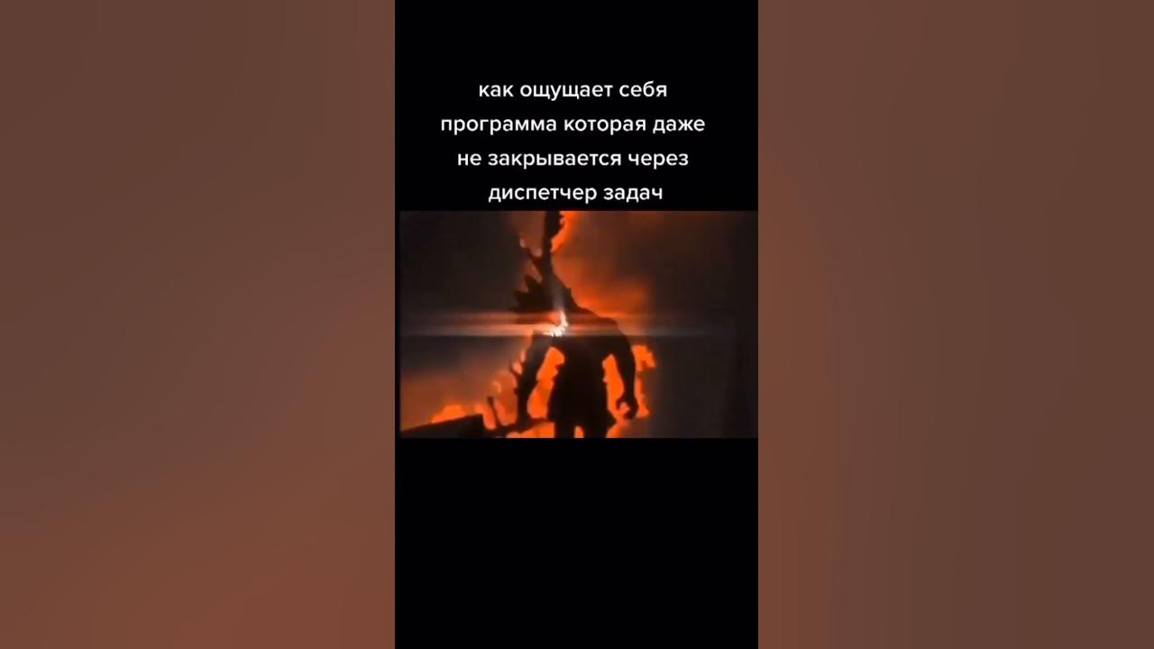 пов: торрент #shorts #мемы #мем - YouTube