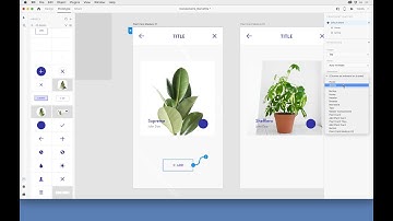 Step 05 Using states
