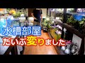 水槽部屋　現在だいぶ変わっています！メダカ、金魚、コリドラス他紹介します