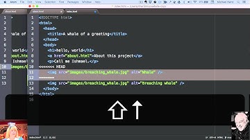 Learn Enough Git to Be Dangerous