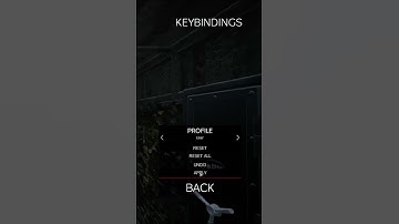 THIS IS HOW YOU HOLD TO ADS #shorts #short #dayzstandalone #dayz #dayzsettings #dayztips #rearmed