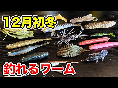 【バス釣り】12月初冬のワームおすすめ!!使い方や使い時も合わせて解説してみた【ソフトルアー編】