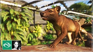 Let's Build a Fossa Habitat & Gift Shops in Nyambura Zoo | Ep. 4