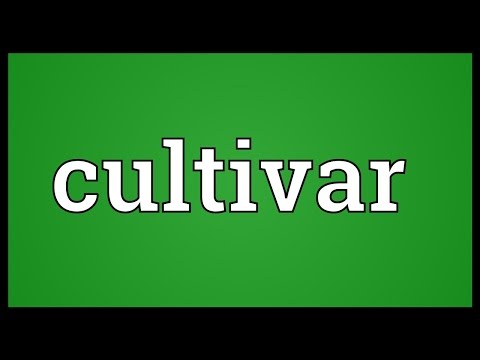 Cultivar Meaning