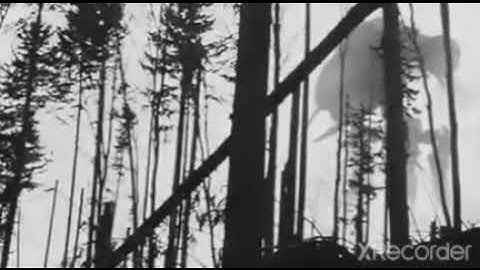 Mild High Club - Homage ( Official Music Video)