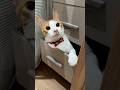 そこはパンツ置き場なんですけど…。