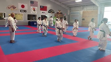 Kata: Gyaku Heian Godan with my count by the participants