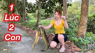 Cắm Câu Cá Lóc Trên Sông Ly Ngô Trúng Mánh 1 Lúc 2 Con Cá Khủng