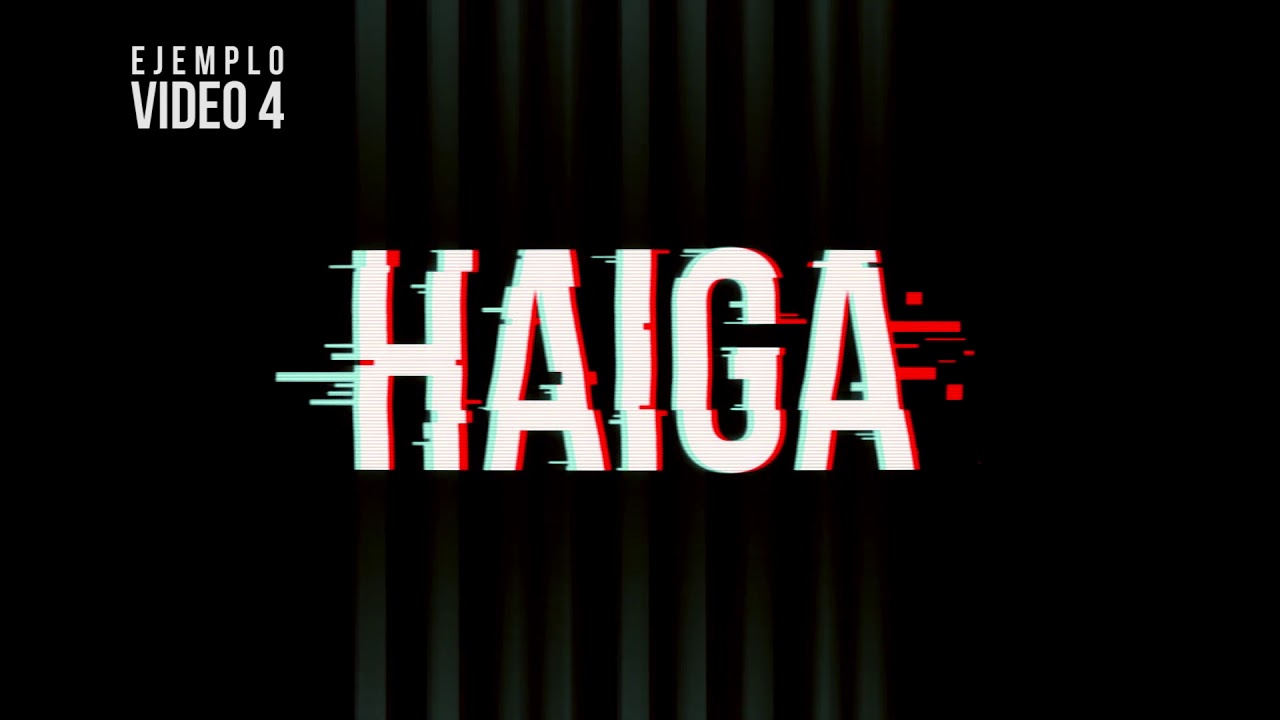 HAIGA 04