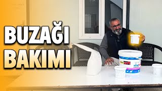 BUZAĞI BAKIMI NASIL YAPILIR | BU VİDEO İZLENİR