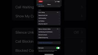 Best Way to Block Unknown Callers in Your iPhone screenshot 5