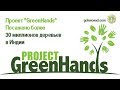 Проект GreenHands &quot;Зелёные руки&quot;. 30 млн деревьев