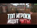 ТОП ИГРОКИ ИЩУТ ЧИТЫ НА ВИДЕО ft. SOLZH, PAINY В GTA SAMP EVOLVE RP