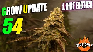 Grow Update 54 - J Dirt Exotics And @DunsKicks 