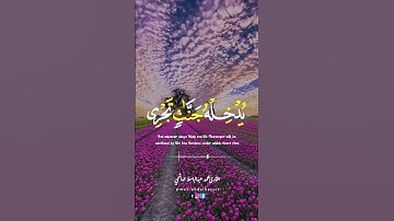 #سورة_الفتح #قرآن #تلاوة #quran #القارئ #الشيخ #محمد #عبدالباسط #الهاشمي