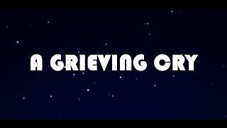 Grieving Cry Nasheed (Reverb)  - Muhammad Al Muqit Resimi
