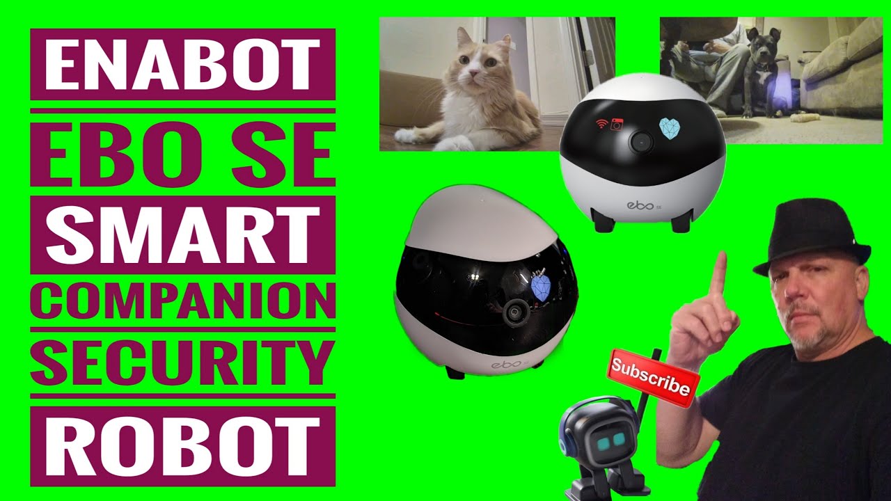 Enabot EBO Air Review: Clever Robot Cat Companion