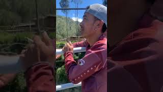 jembatan kaca bromo uji coba