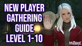 FFXIV 2.56 0604 New Player Gathering Guide Level 1 to 10