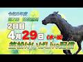 笠松けいばライブ配信R8.04.29
