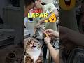 Makan No. 1