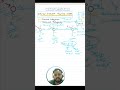 Part 2: Neural Network Training | Harish Sharma | Learn With Baba