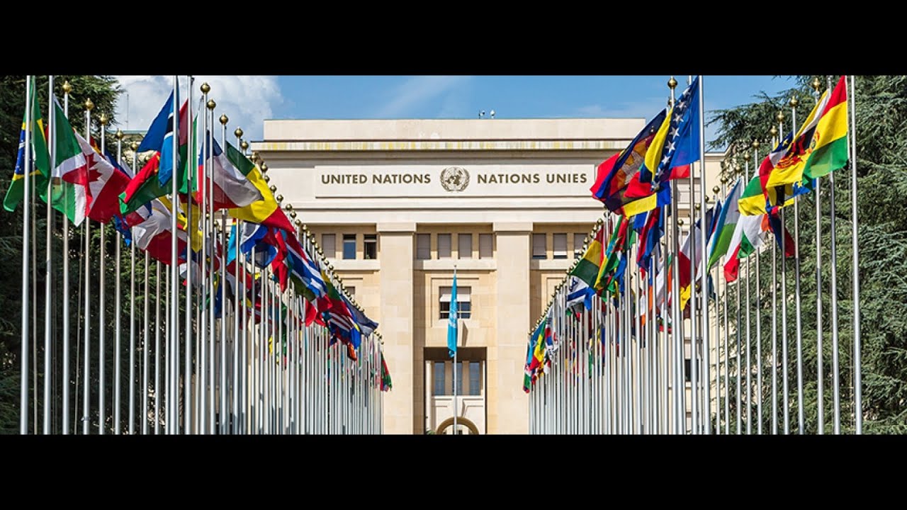 UN expats - what are the biggest financial challenges?