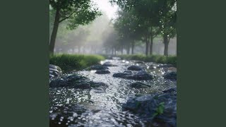 Soft Stream Sleep Echoes