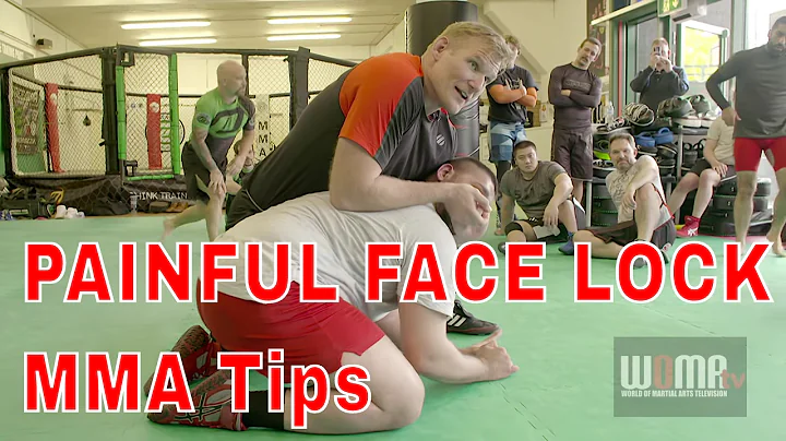PAINFUL FACE LOCK MMA Tips Catch Wrestling