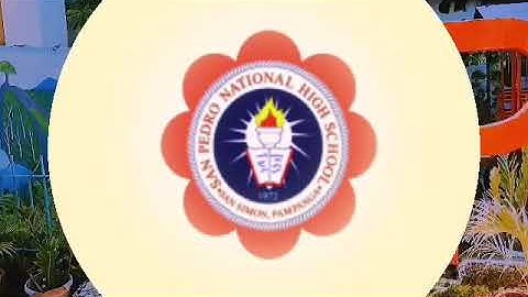 SPNHS Modular Distance Learning Implementation SY 2020-2021