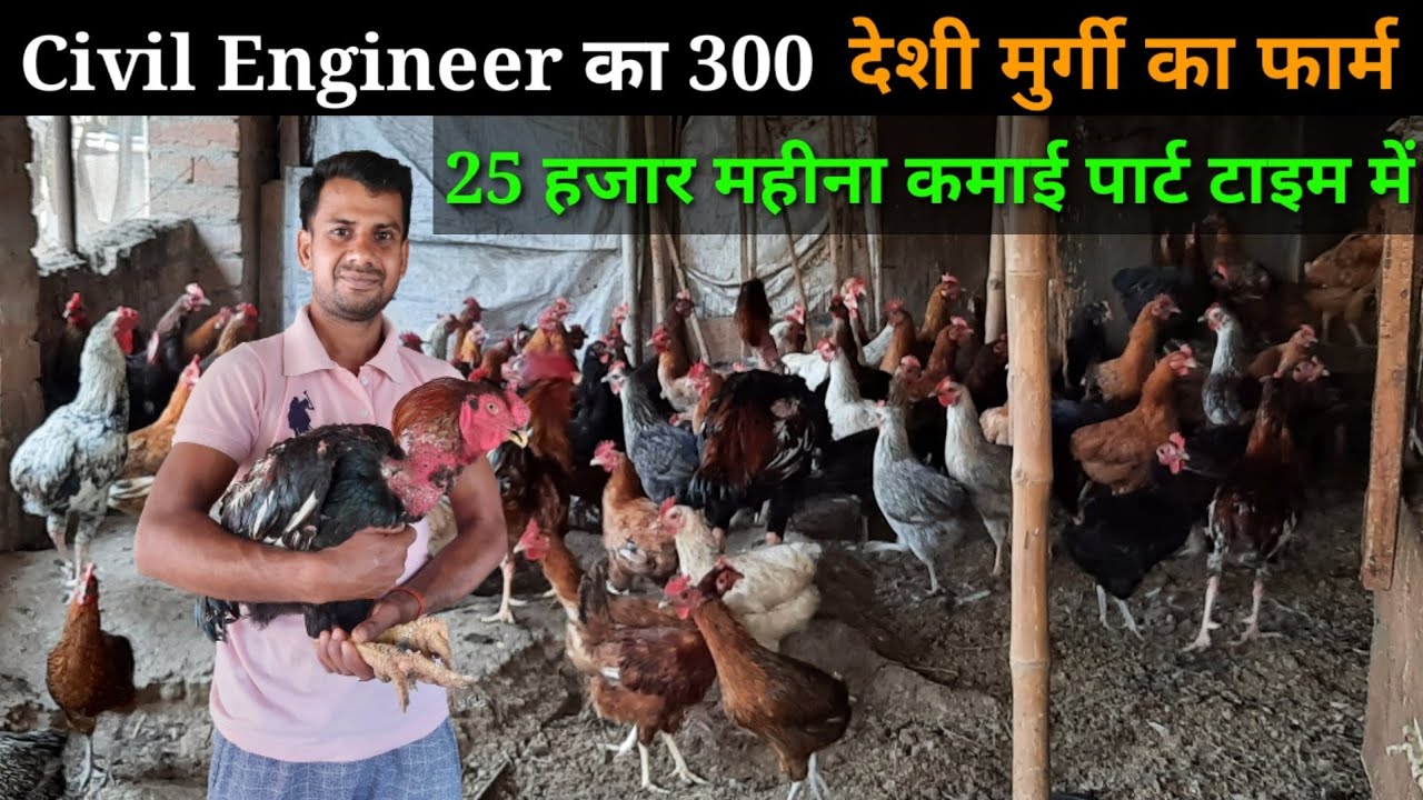 300 देशी मुर्गी से 20 से 25 हजार महीने का कमाई Civil Engineer ka safal deshi poultry farm