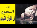 آيات السجود في القرآن الكريم 