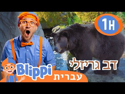 וִידֵאוֹ: היכן נמצא וודלנד?