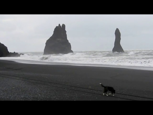 Iceland 2009