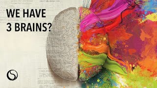 Famous How Complex Is The Human Brain? Wealth