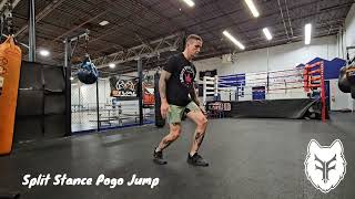 Split Stance Pogo Jump