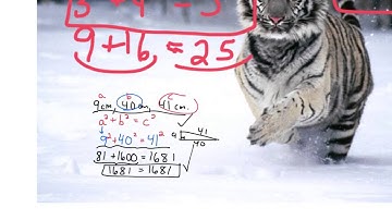 Grade 8 Math: Level 7 Pythagorean