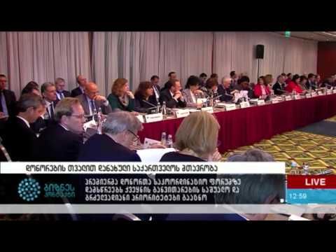 დონორების თვალით დანახული საქართველოს მთავრობა