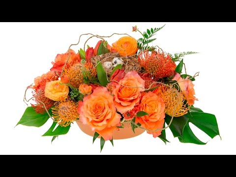 Video: Izaudzējiet dzīvu Lieldienu centru - ziedu izvēle Lieldienu galdam