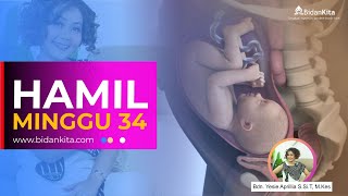 Minggu 34- Kehamilan Minggu ke Minggu screenshot 5