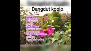 Dangdut koplo tahun 2000 an