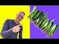 Secrets to Snake Plant Propagation!  How to Propagate Sansevieria