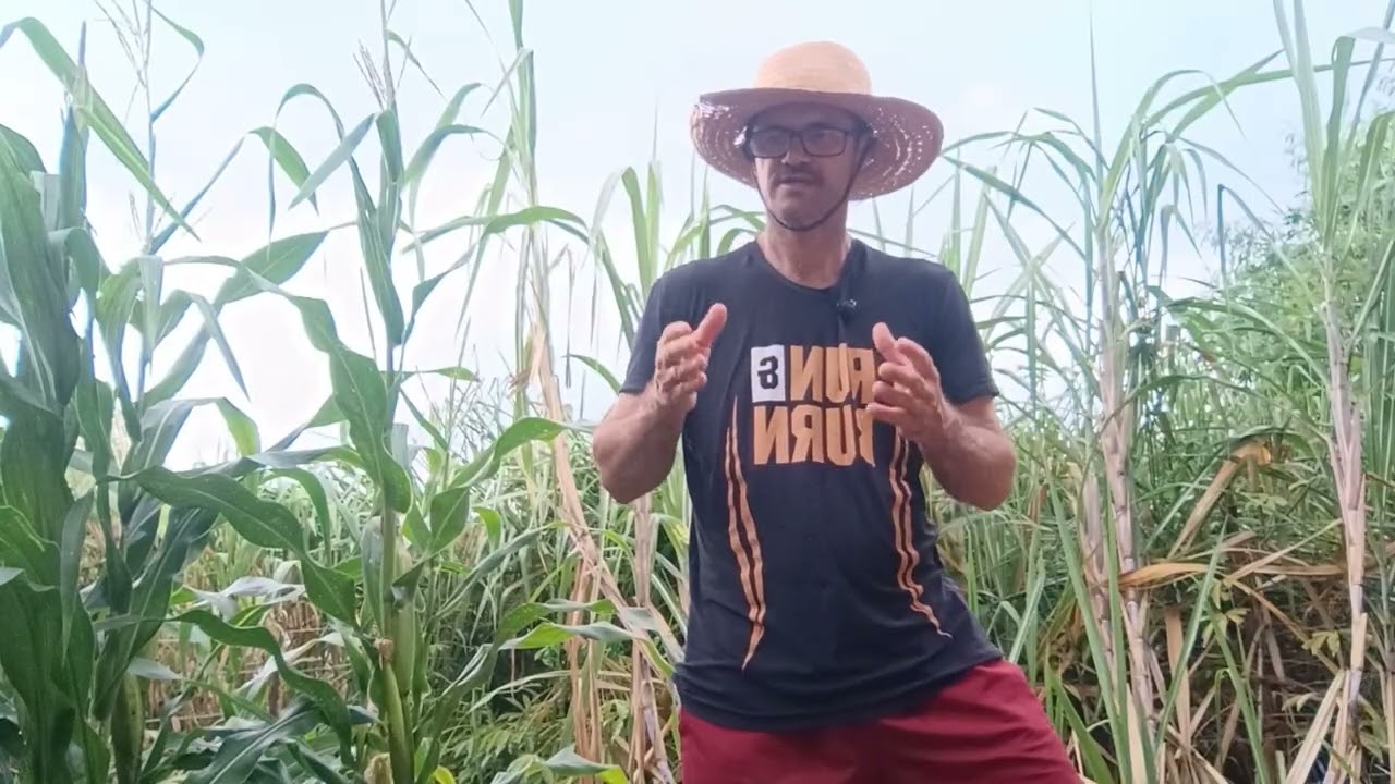 RESPOSTA A UM COMENTÁRIO RUIM.!!!.