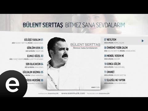Neyliyem (Bülent Serttaş) Official Audio #neyliyem #bülentserttaş