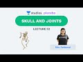 L52: Skull and Joints | Human Physiology (Pre-Medical: NEET/AIIMS) | Ritu Rattewal