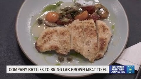 Company battles to bring lab-grown meat to Florida